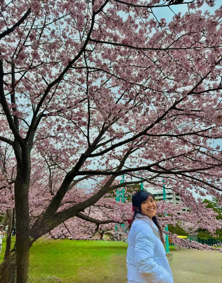 Amanda under cherry blossom trees in Japan, Hokkaido